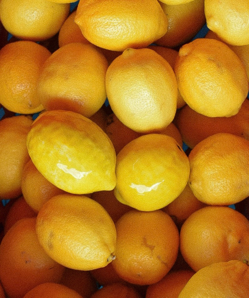 Fruits and Vegetables